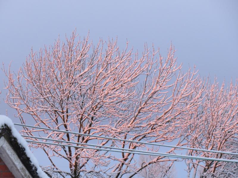 Met Eireann updates weather warnings as 'significant snow' expected