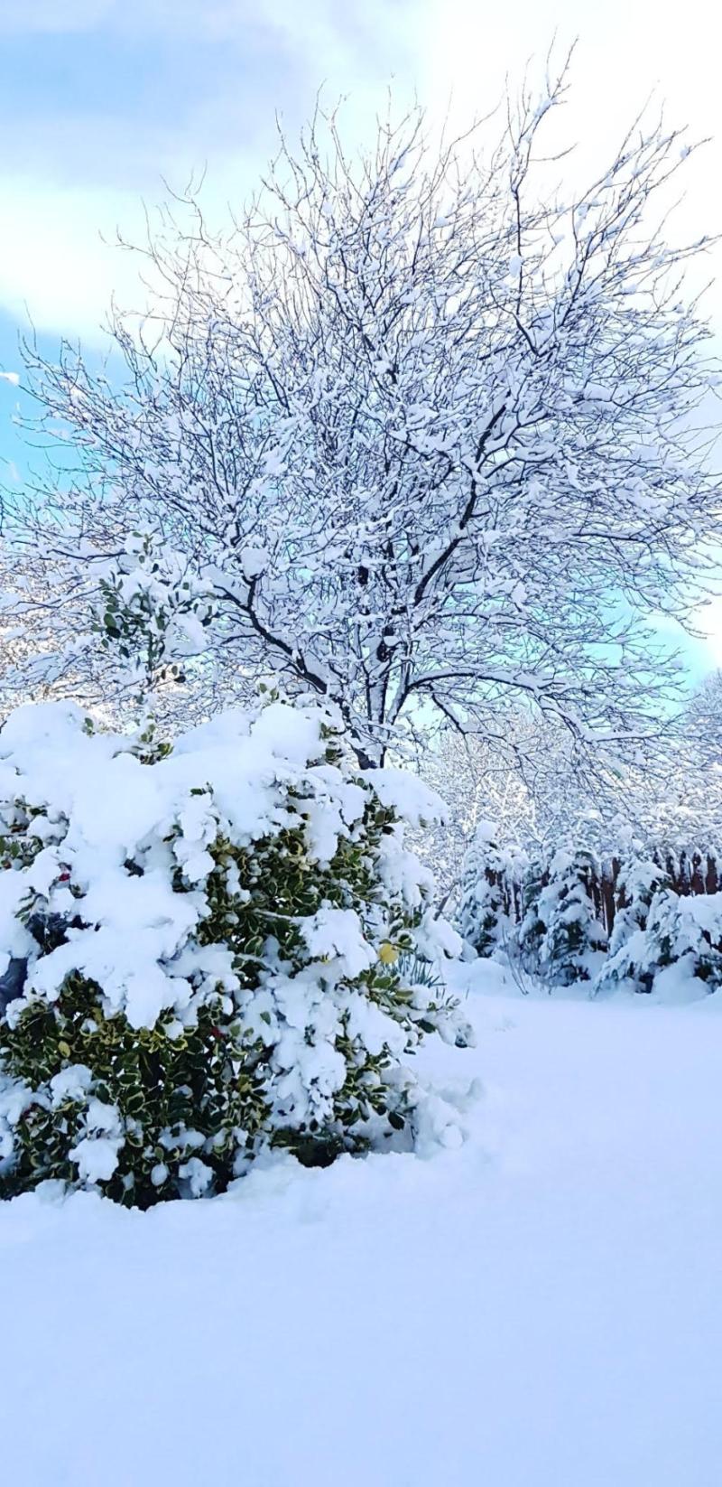 LET IT SNOW: See the social media excitement as snowfall hits across Ireland