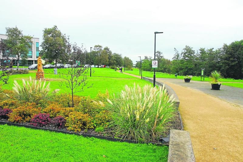 Carrick-on-Shannon Tidy Towns going for more than gold!