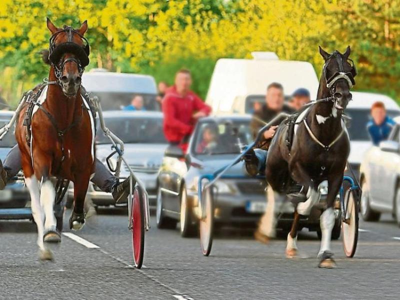 Action urged to end Laois sulky racing over animal welfare concerns