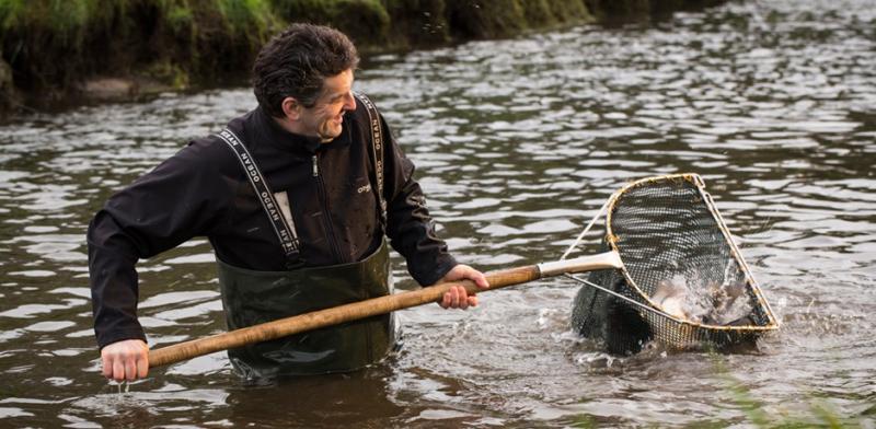 Ger Kirwan of Goatsbridge Trout Farm, Kilkenny hard at work