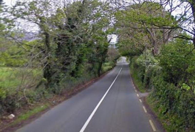 People in Kilkenny shocked after encountering unexpected animal on road
