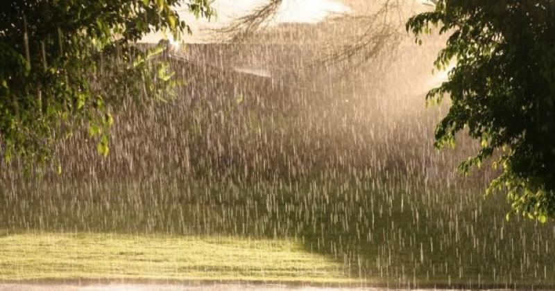 WEATHER: Blustery in Carlow today (Jan 9) with scattered showers and sunny spells