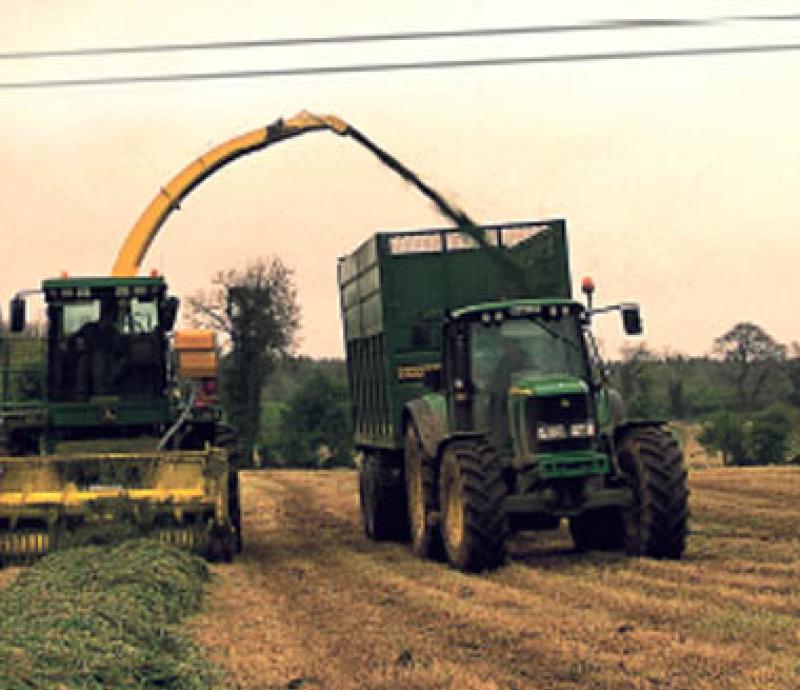Silage season starts