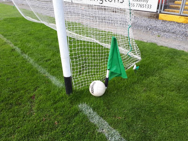Kilkenny GAA club has plans to light up the club grounds