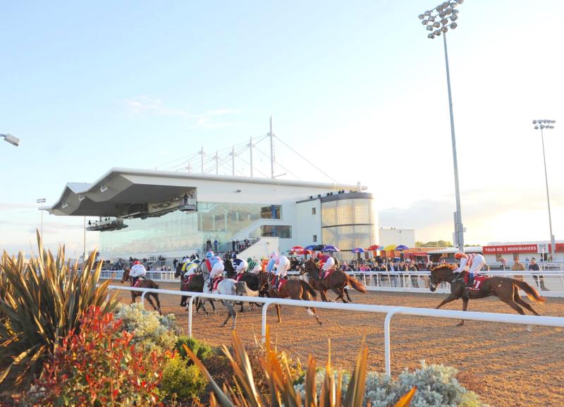 Dundalk Stadium confirms plan to replace all-weather surface