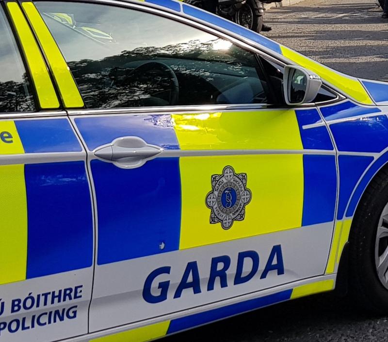 BREAKING: Massive Kilkenny garda rescue operation leads to arrest 