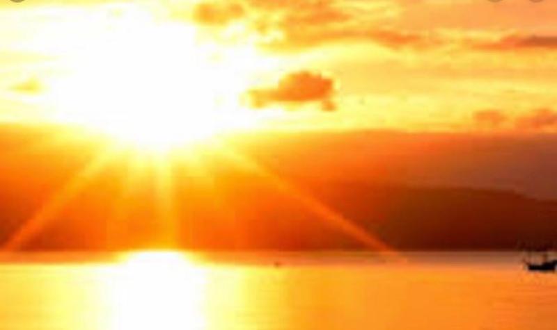 Hoping for Golden sunshine for rescheduled Tipperary Field Evening this Friday!