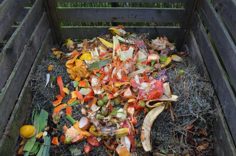 Food waste