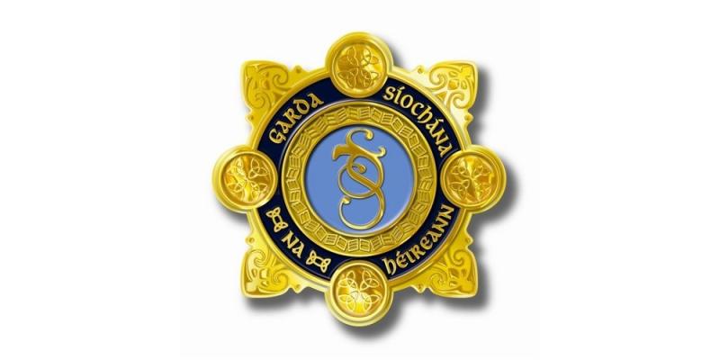 Kilkenny Gardaí reach 'last straw' after spotting local incident 