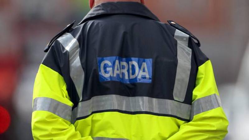 Handbag snatched from car as woman drove into Kildare Lidl car park