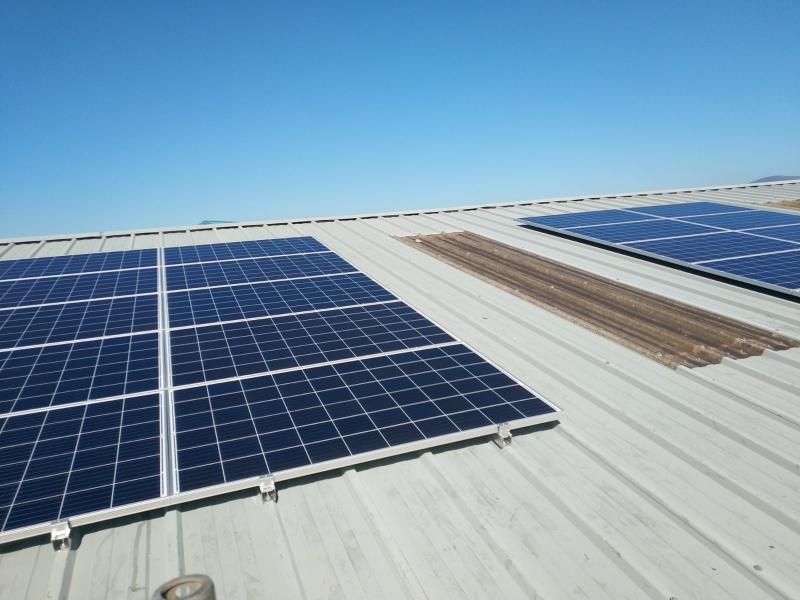 Revealed: Louth homes go solar with 984 new installations in 2024