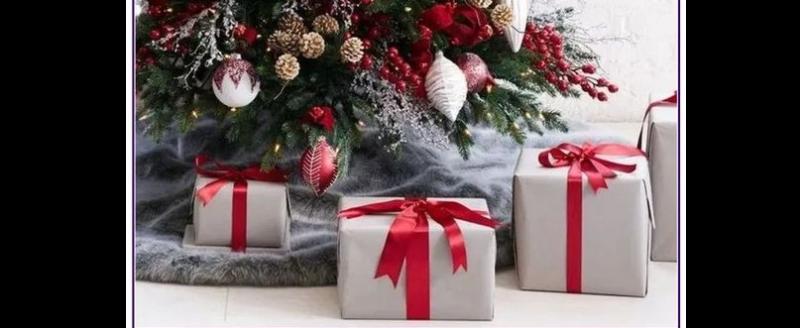 Nenagh Toastmasters group ended the year on a happy note and with a festive theme