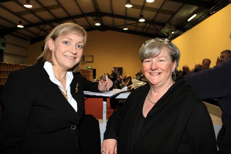 Former Longford General Election candidate disappointed with Taoiseach&rsquo;s disingenuous remarks on Independent rural candidates