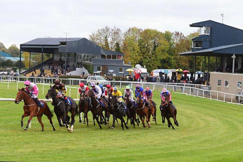 Lowry welcomes increased funding for horse and greyhound racing