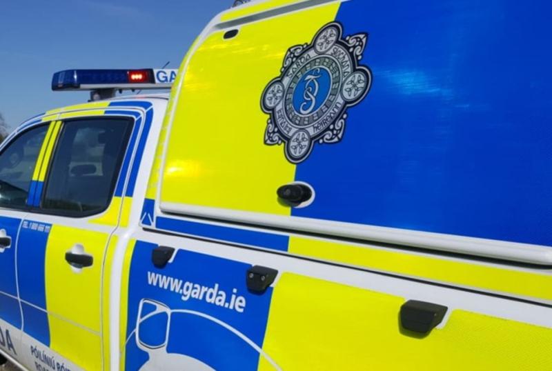 Gardai investigate burglary in Louth Village 
