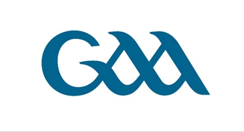 Kilkenny GAA club issue serious threat to offenders of scandalous behaviour causing 'hygiene concerns' 