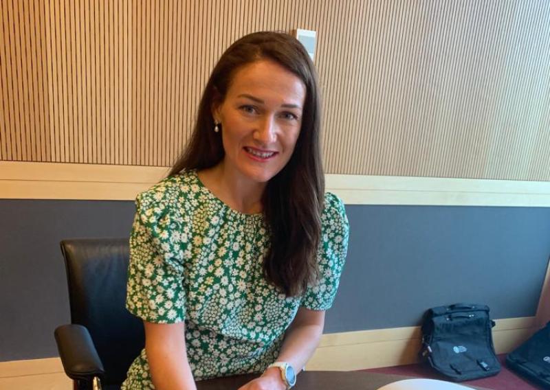 Louth senator welcomes moves to make stalking and non-fatal strangulation standalone offences
