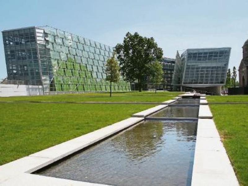 Kildare County Council is 'taking four month to reply to emails'