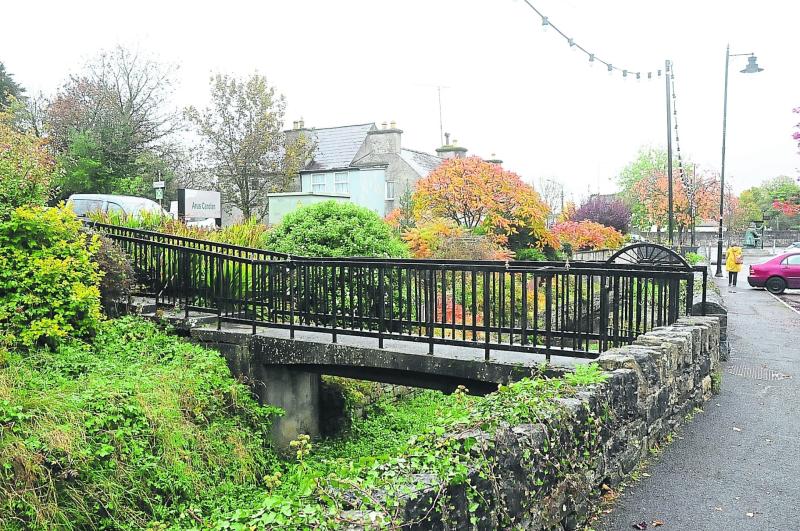 Unsightly vegetation in Mohill river again raised at Council