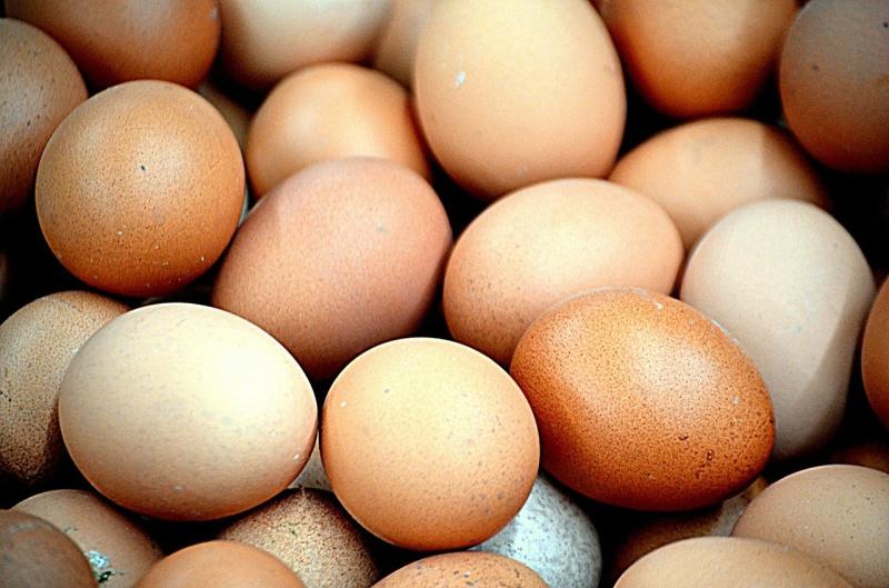 No Egg-ceptions as over 650 million eggs sold in Ireland in the last year
