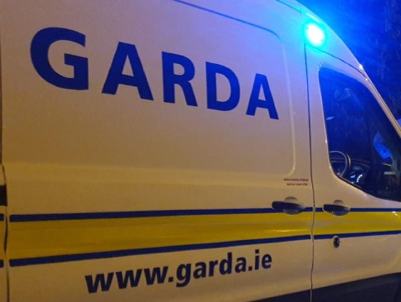 Gardaí appeal for witnesses to single-vehicle crash which left two men hospitalised