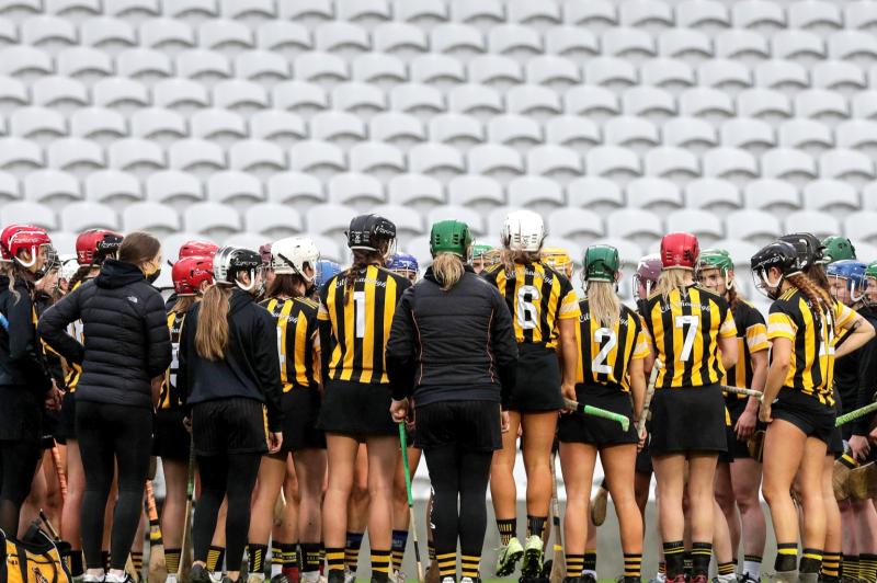 Kilkenny keep Division 1A status with win over the 'Dubs 