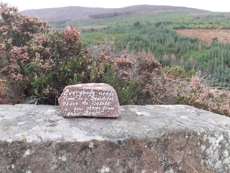 Clogheen all set to welcome walkers for the annual Rhododendron Walking Festival
