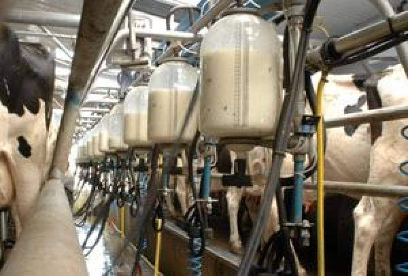 Tirlán's December milk price for its Tipperary suppliers is 40.08 cpl