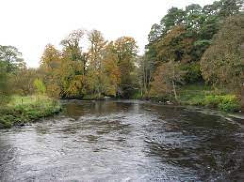 Leitrim's River Bonet 