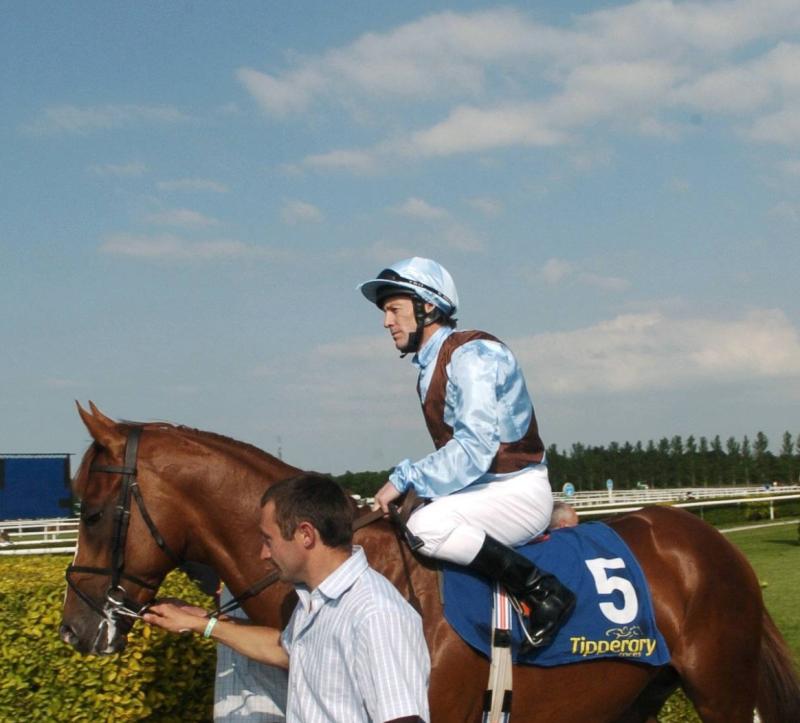 COLUMN: The fences at Cheltenham are far from the only hurdles this week...