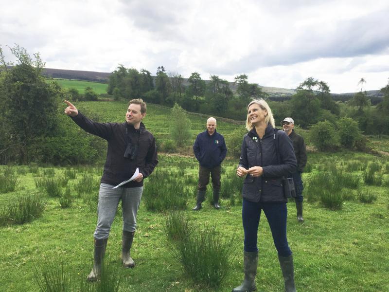 Green Party Minister takes to the Slieve Blooms on the trail of the Hen Harrier