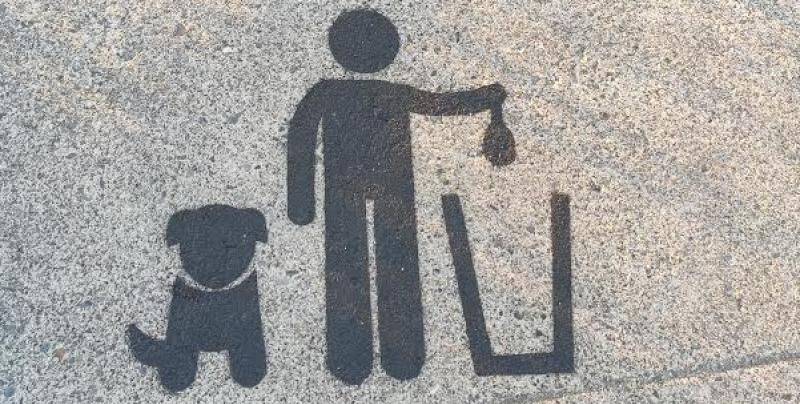 People encouraged to bag the poo