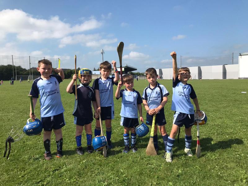 Exciting times: Nenagh Éire Óg to launch gaelic games youth academy
