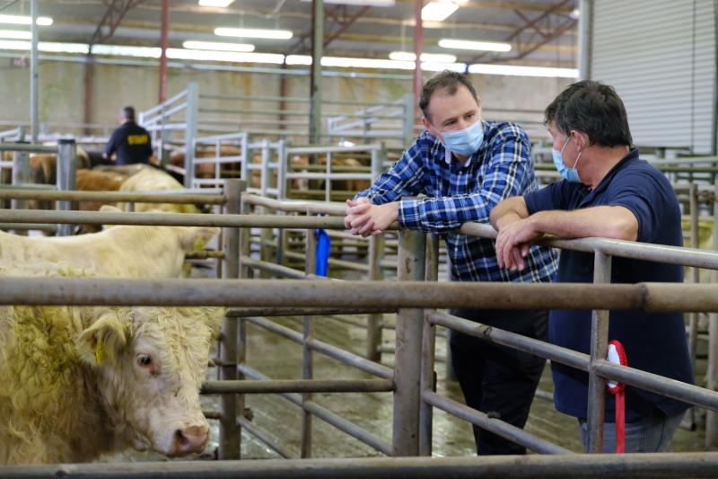 Agricultural shows set to benefit from a new class in the years ahead