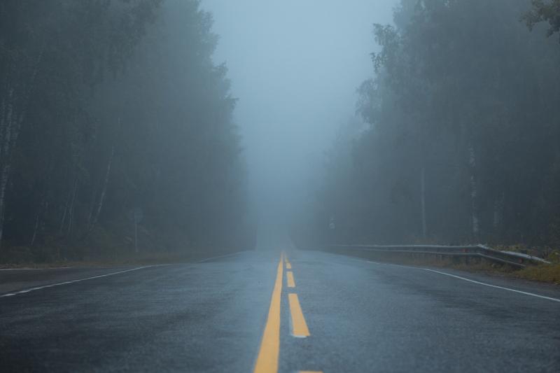 WATERFORD WEATHER: Mist and fog expected this morning (April 5) with rain later on