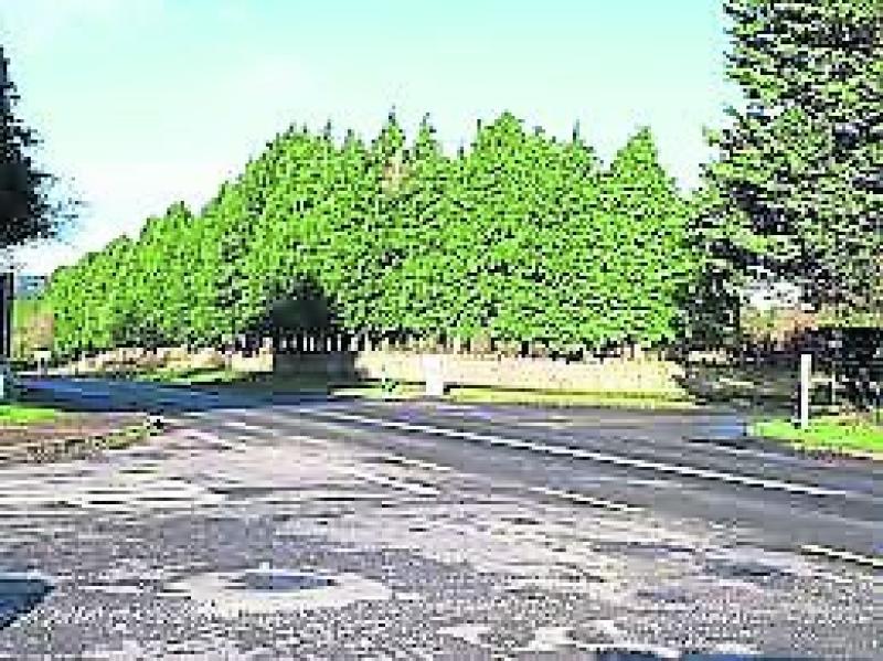 ‘It's only a matter of time before someone is killed,’ councillors call for action on Turtulla cross
