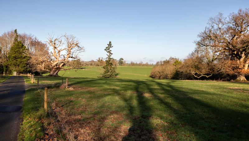 Ballingarrane Estate