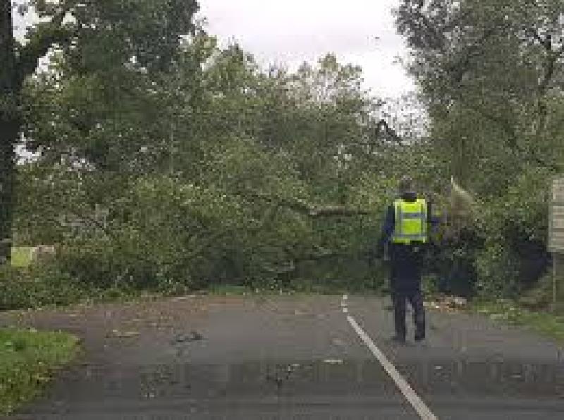 ALERT: Storm Ophelia death in Tipperary serves as chilling warning during Storm Éowyn