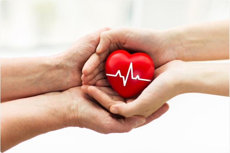 Tipperary TD calls for an update on organ donation process