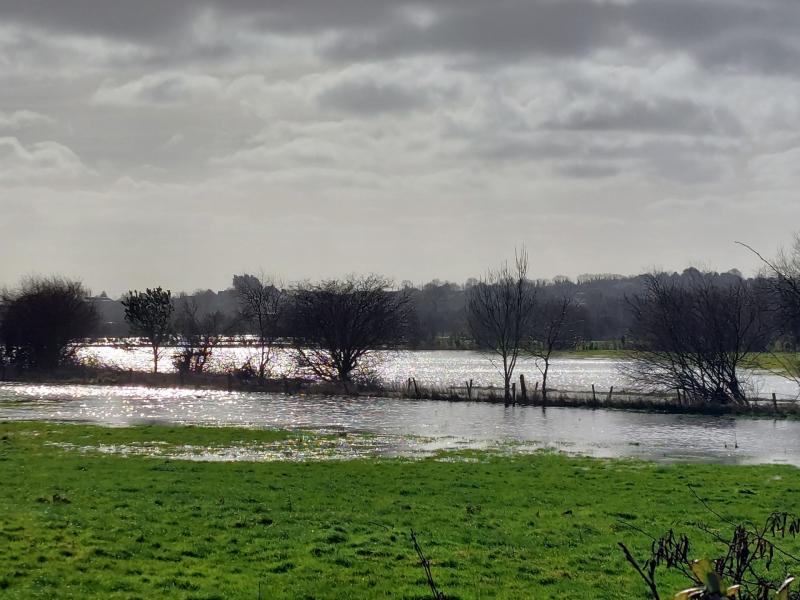 River dredging needed to tackle 'major problem' with flooding in Laois