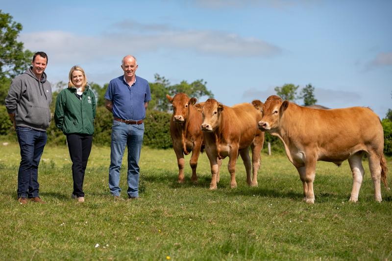 Clonmel Show is returning bigger and better than ever after hiatus 