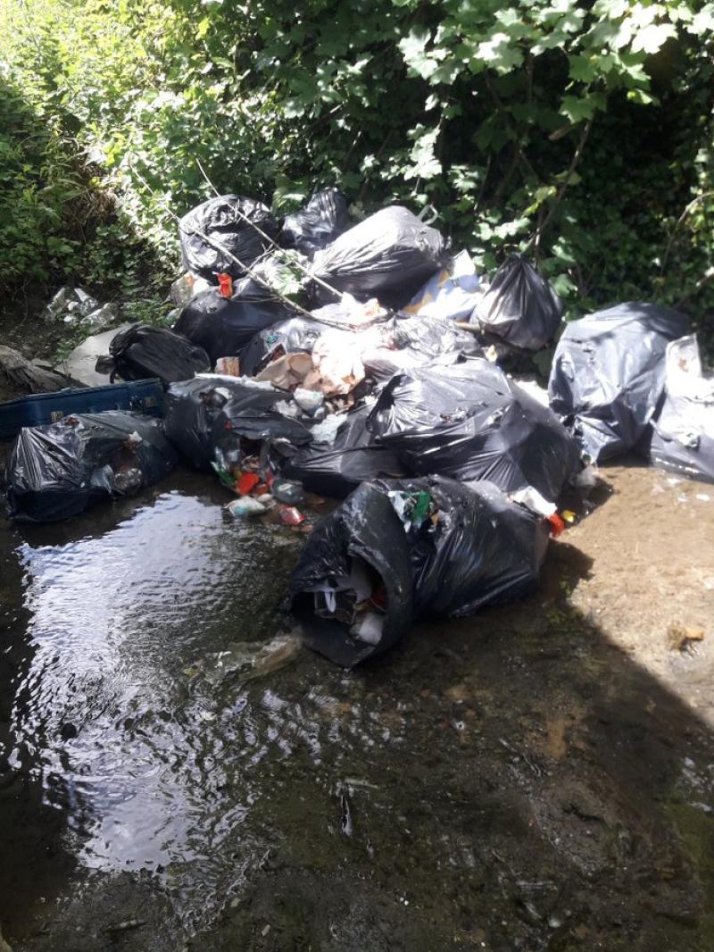 20 bags of rubbish dumped in Louth stream