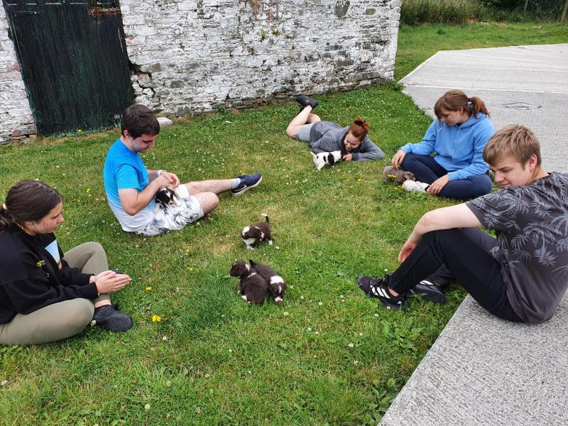 Louth SPCA shortlisted for top award