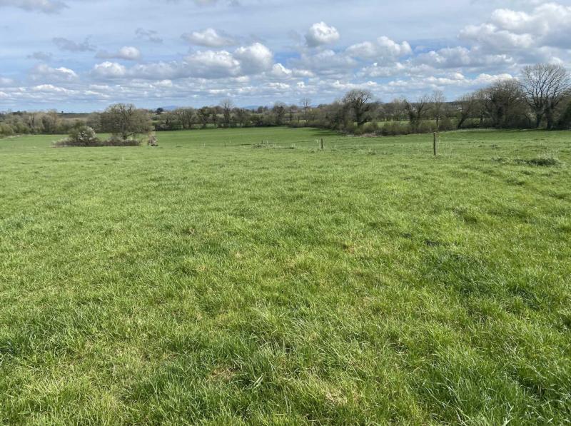 Limerick farming: Put your name down for Bettyville