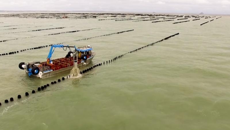 Donegal’s seafood sector callout! Fancy being a technology pilot? 
