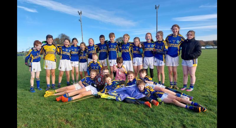 IN PICTURES: Great competition and fun at Cumann na mBunscol football finals
