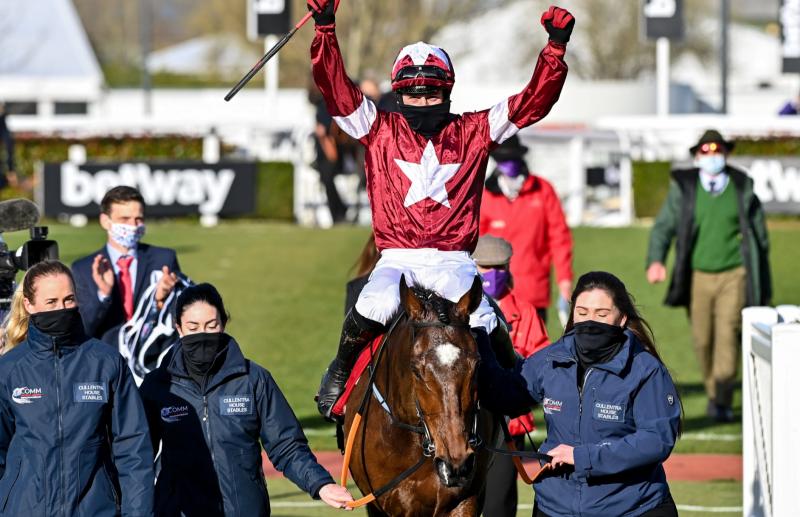 Cheltenham Festival 2022 Day 2 Tips - The horses worth a bet on Wednesday
