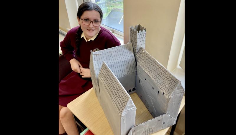 Check out these wonderful local history models created by students at the Presentation Thurles