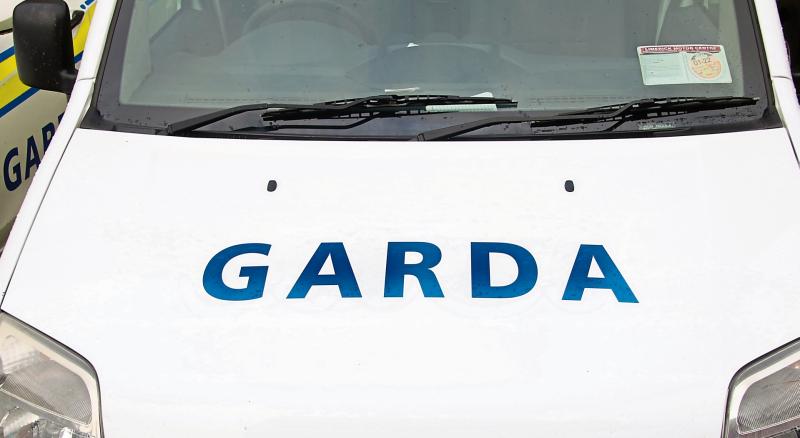Young motorist dies in Limerick road traffic collision